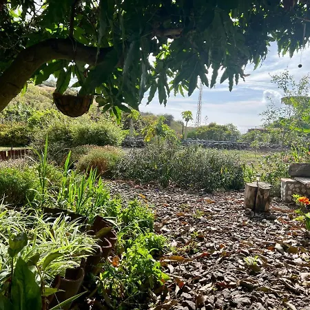 Un Paraiso En Tenerife بونتا ديل هيدالغو