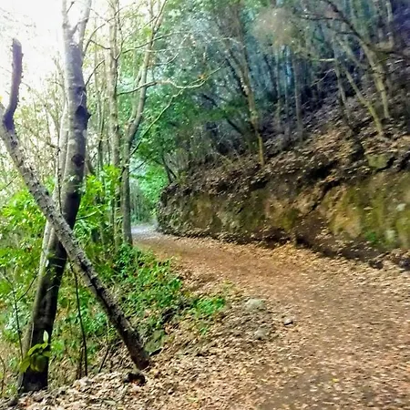 Un Paraiso En Tenerife