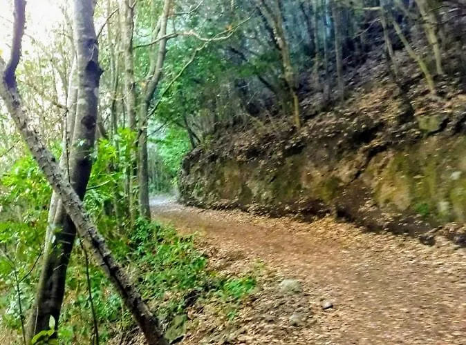 Un Paraiso En Tenerife