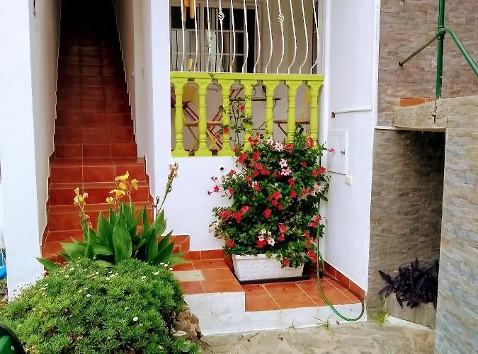 Vakantiehuis Un Paraiso En Tenerife Punta Del Hidalgo