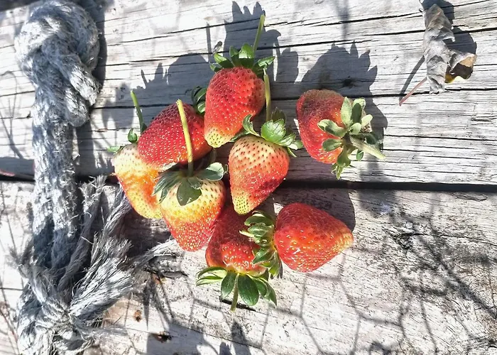 Un Paraiso En Tenerife Holiday home Punta Del Hidalgo