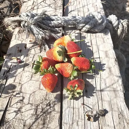 Ferienhaus Un Paraiso En Tenerife *