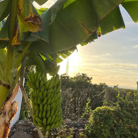 Un Paraiso En Tenerife Ferienhaus