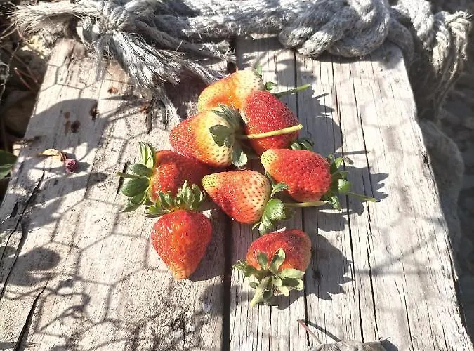 Nyaraló Un Paraiso En Tenerife *