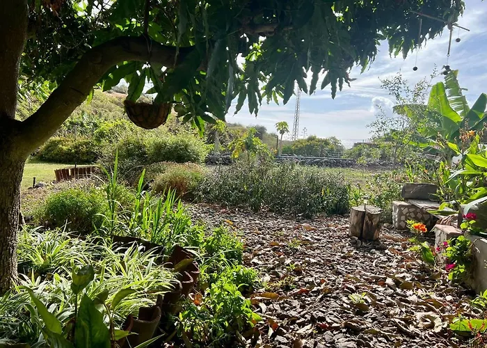 Un Paraiso En Tenerife プンタ・デル・イダルゴ