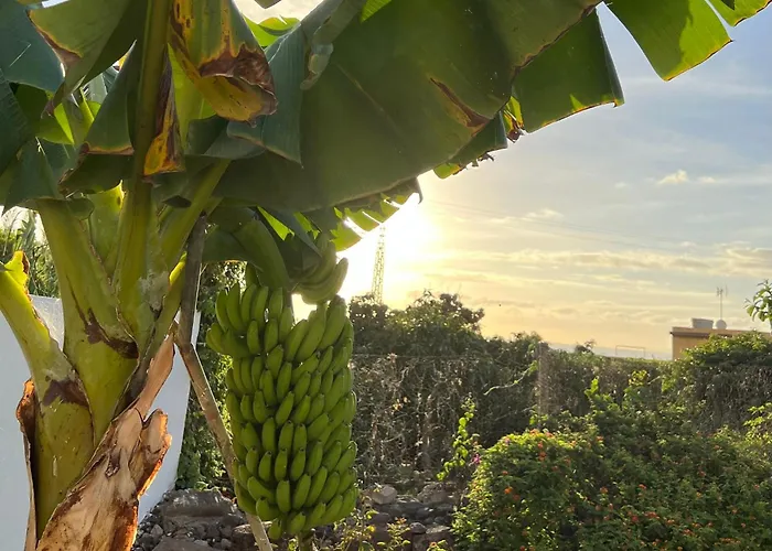 Un Paraiso En Tenerife Nyaraló